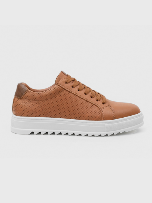 Men's Arion Terra
